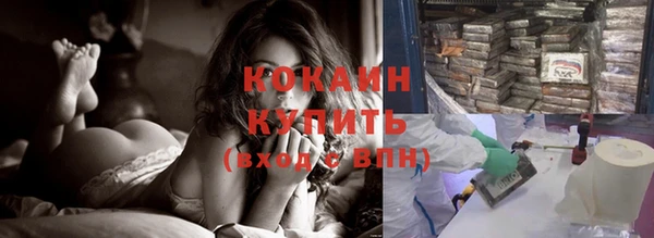 стафф Тайга