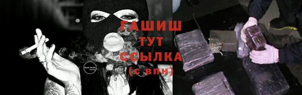 2c-b Бородино