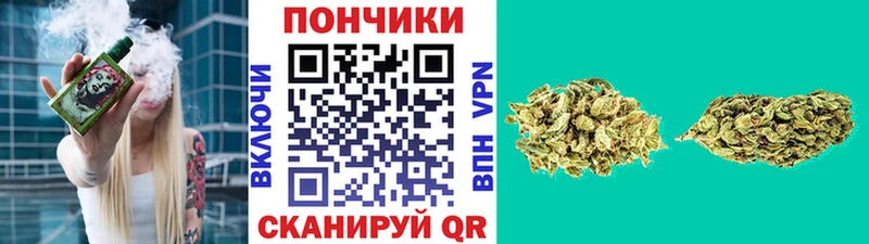 Бошки марихуана OG Kush Любим